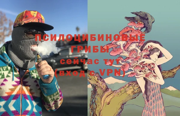 дурь Михайлов