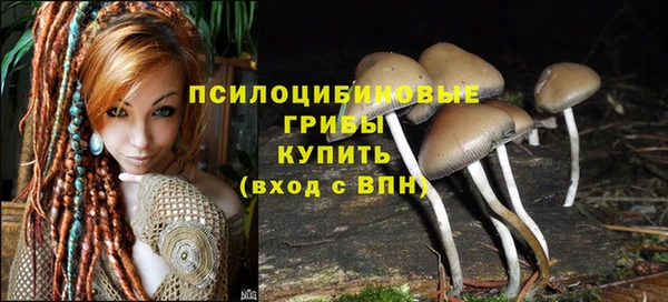 MESCALINE Михайловск