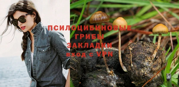 ешки Михайловка