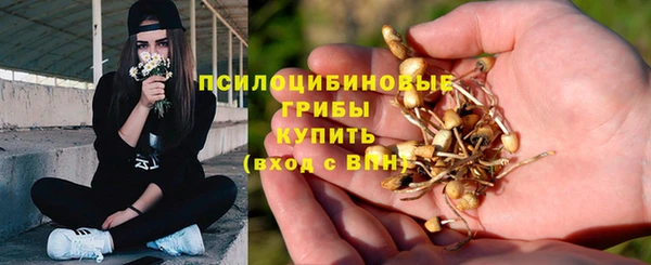 MESCALINE Михайловск