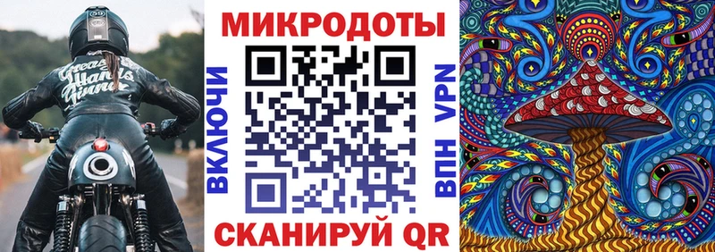 закладки  Духовщина  Галлюциногенные грибы прущие грибы 